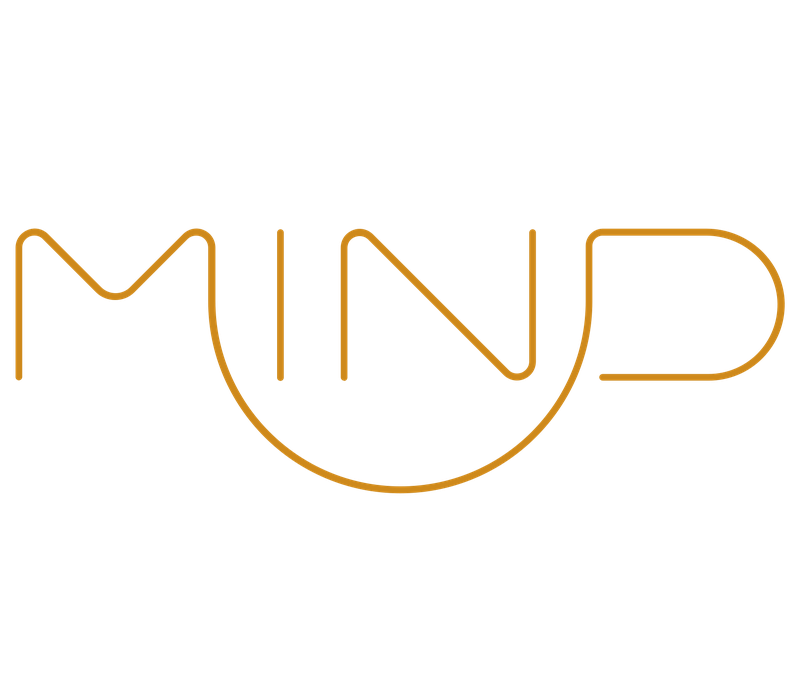 Travel Mind United Foundation